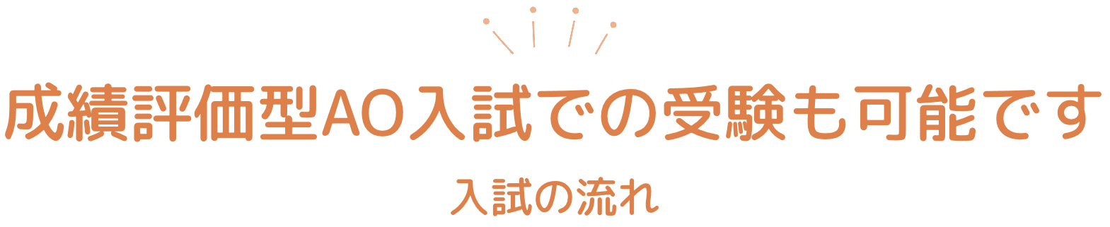 成績評価型AO入試での受験も可能です 入試の流れ